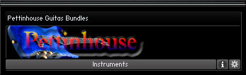 Pettinhouse Guitar