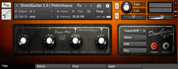 PettinHouse Direct Guitar 3