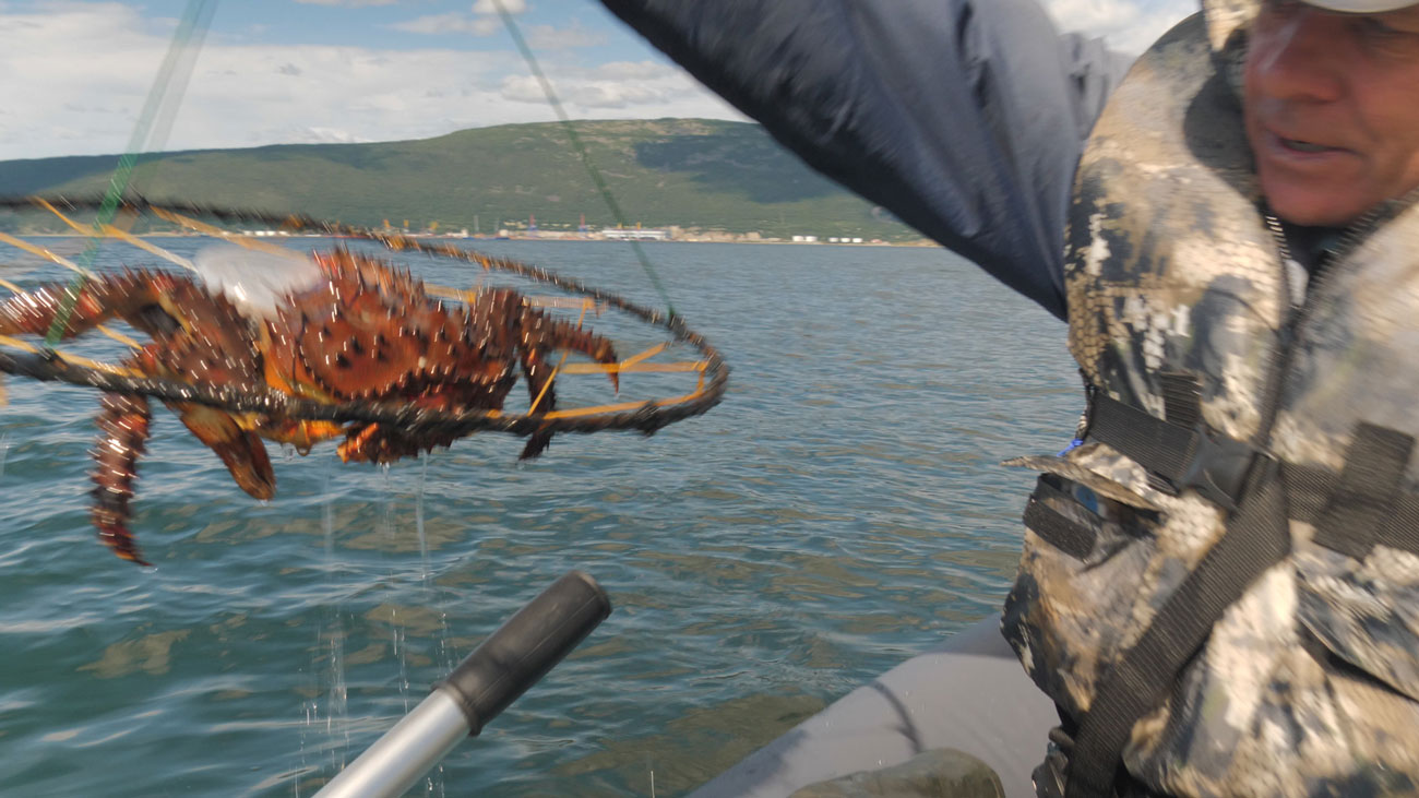 Вытаскиваем краба из моря