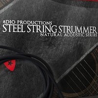 8Dio Steel String Guitar and Strummer