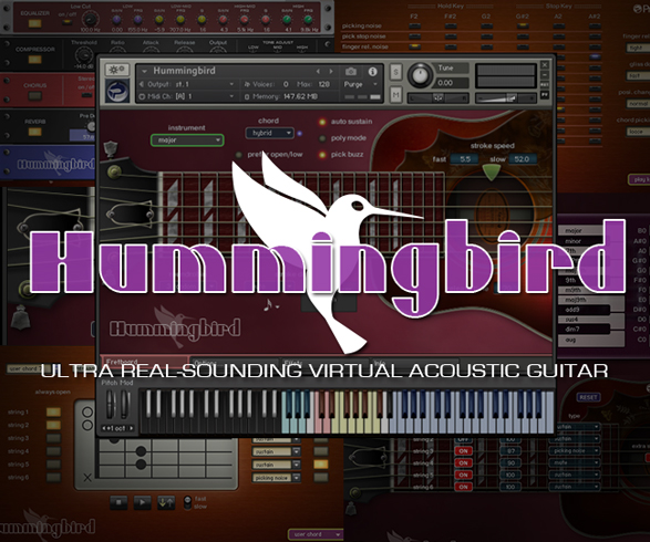 Hummingbird  Prominy