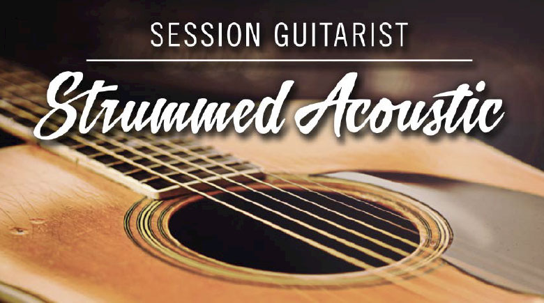 SESSION GUITARIST |инструкция на русском