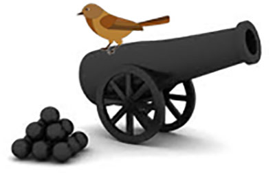 Пушкой по воробьям