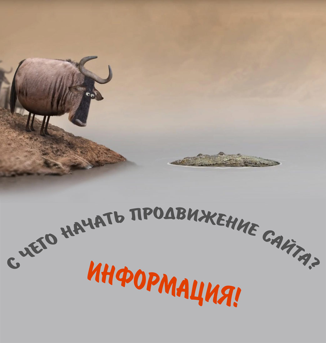 С чего начать продвижение сайта